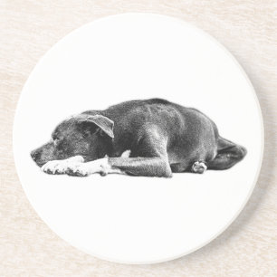 Calm Pitbull Mix Lying Pose Untersetzer