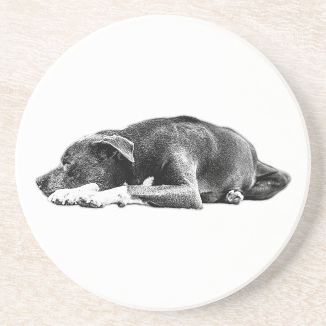 Calm Pitbull Mix Lying Pose Untersetzer (Vorne)