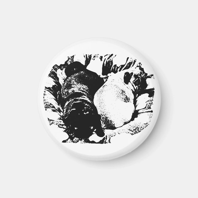 Calm Pugs on the Fridge Magnet (Vorne)
