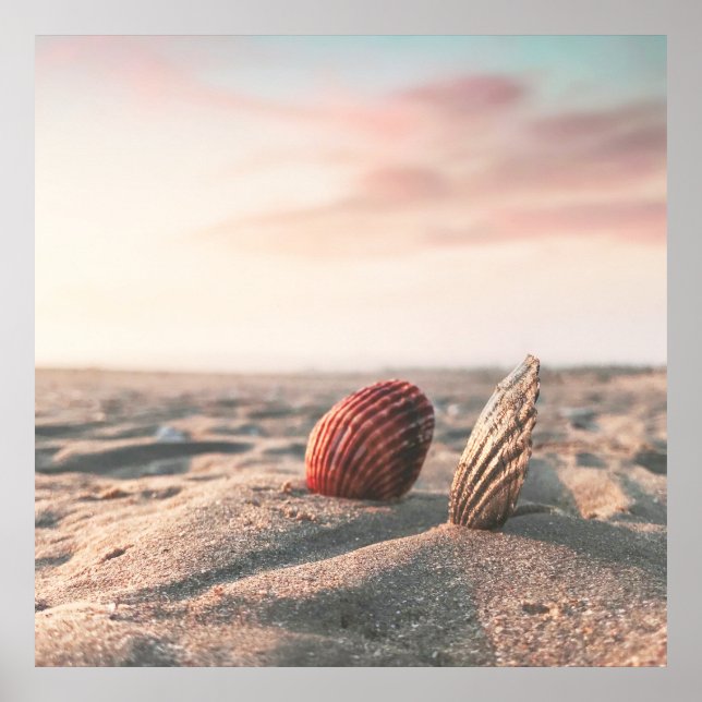 Calm Sand Beach Muschel Ocean Fotoster Poster (Vorne)