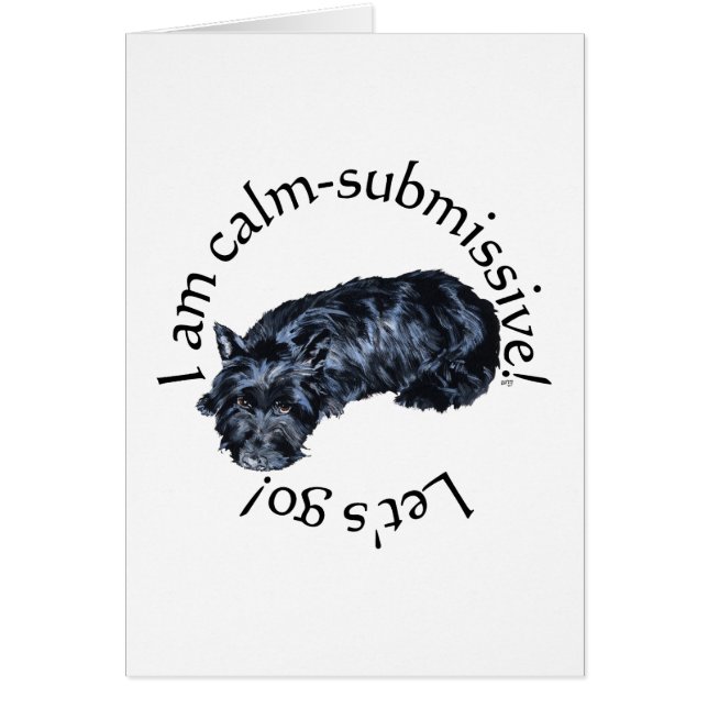 Calm Scottish Terrier (Vorne)
