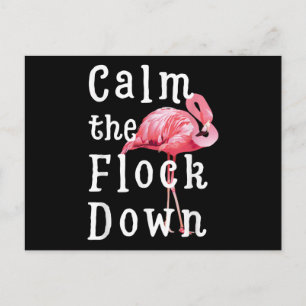 Calm The Flock Down Flamingo Funny Ankündigungspostkarte