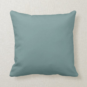 Calmed Aquamarine Blue-Green Solid Color SW 0020 Kissen