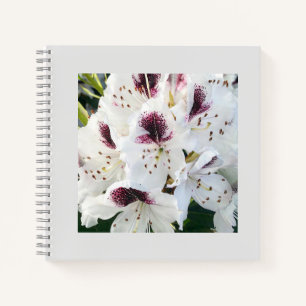 Calsap Rhododendrons Notizbuch