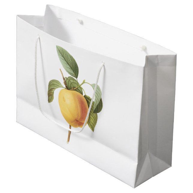 Calville Apfel (Malus-SP.) durch Redouté Große Geschenktüte (Vorderseite Schrägansicht)