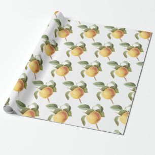 Calville Apfel Muster Geschenkpapier