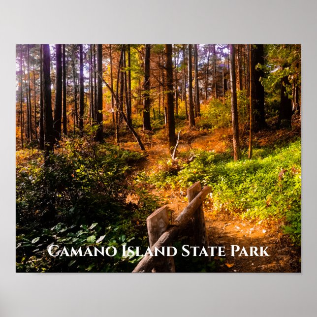 Camano Island Staat Park im Herbst Poster (Vorne)