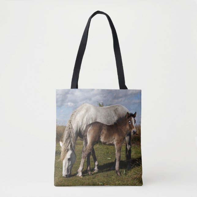 Camargue-Fohlen mit Mutter (Vorderseite)