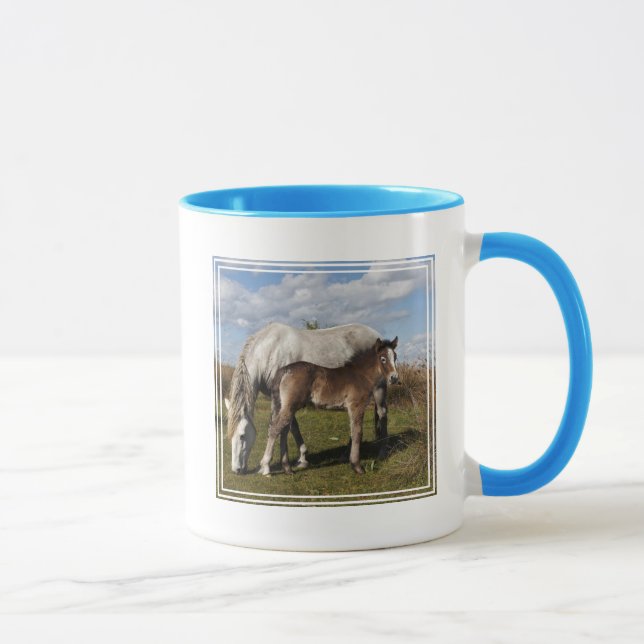 Camargue-Fohlen mit Mutter Tasse (Rechts)