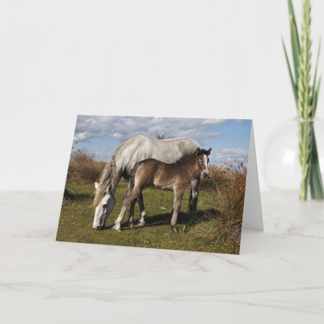 Camargue Horse Foal mit Mutter Karte (Vorderseite)