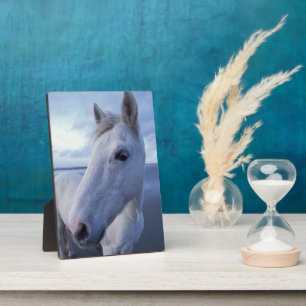 Camargue Horse Fotoplatte