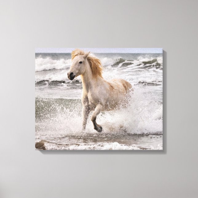 Camargue Horse läuft aus dem Surf Leinwanddruck (Vorderseite)