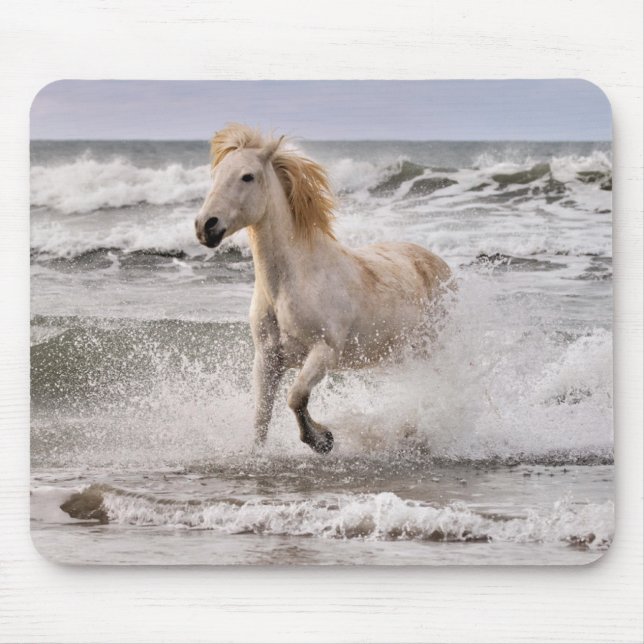 Camargue Horse läuft aus dem Surf Mousepad (Vorne)