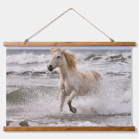 Camargue Horse läuft aus dem Surf