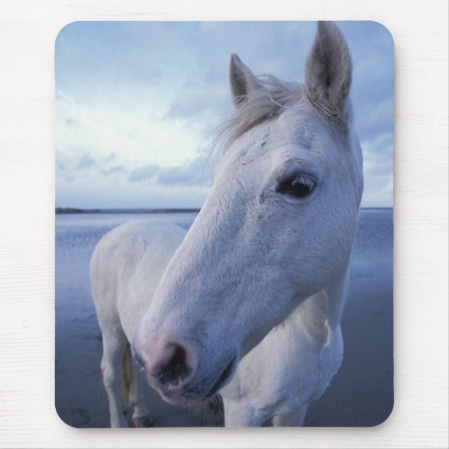Camargue Horse Mousepad (Vorne)