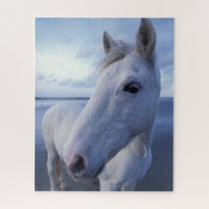 Camargue Horse Puzzle