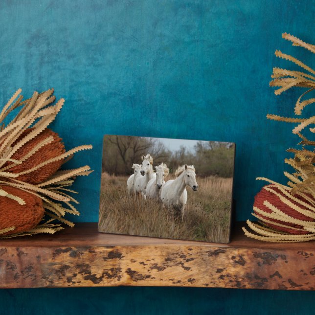 Camargue Horses Running Fotoplatte (Seite)