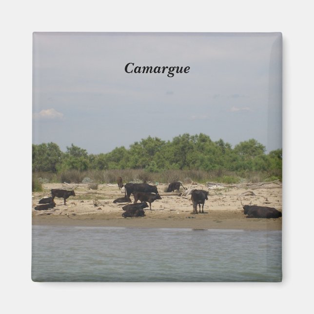 Camargue Magnet (Vorne)