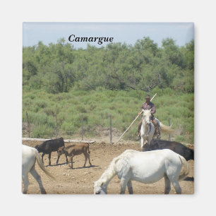 Camargue - magnet