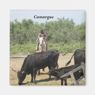Camargue Magnet
