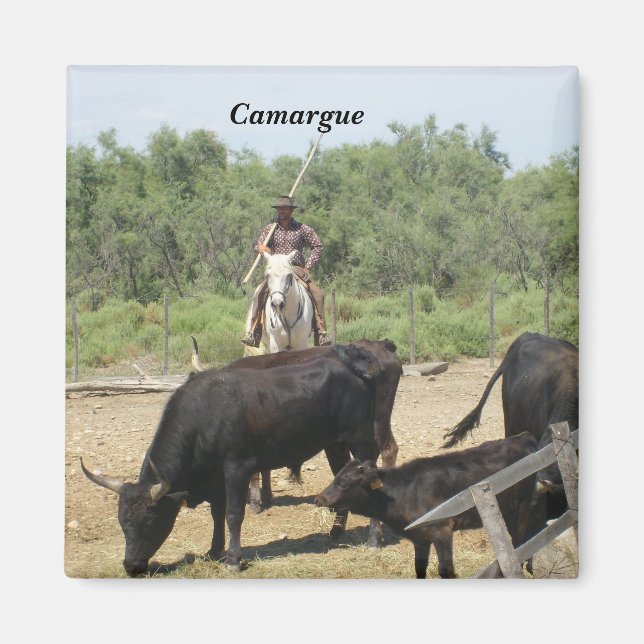 Camargue Magnet (Vorne)