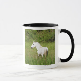 Camargue Pferd im Alpes Cote d'Azur von Tasse
