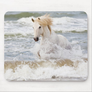 Camargue-Pferd in der Brandung Mousepad