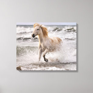 Camargue-Pferd läuft aus der Brandung Leinwanddruck