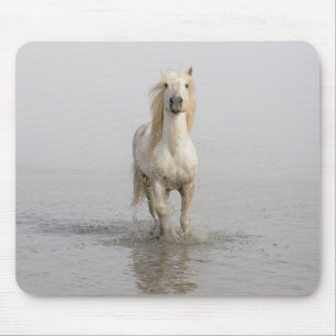 Camargue-Pferd läuft im Wasser Mousepad