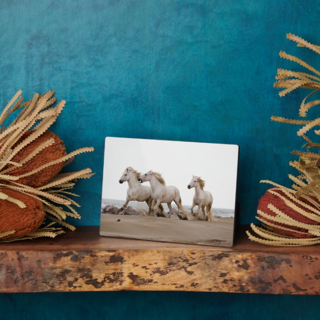 Camargue Pferde laufen am Strand Fotoplatte (Seite)