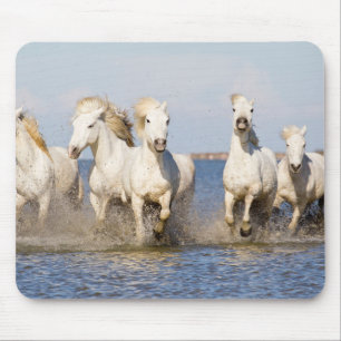 Camargue Pferde Mousepad
