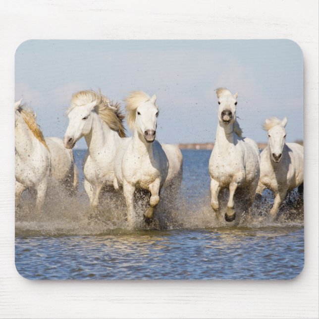 Camargue Pferde Mousepad (Vorne)