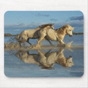 Camargue-Pferde und Spiegelung, Südfrankreich Mousepad