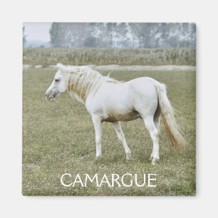 Camargue Stallionsmagnet Magnet