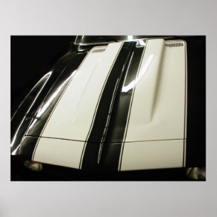 Camaro Stripes Poster