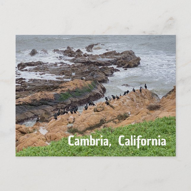 Cambria California Postkarte (Vorderseite)
