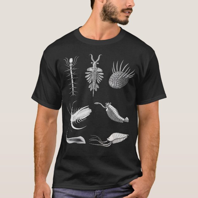 Cambrian Creatures Fossil Paleoart Evolution Scien T-Shirt (Vorderseite)