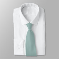 Cambridge Blue Green Moderne Solid Color