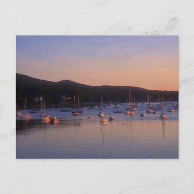 Camden Harbour Sunrise Postkarte (Vorderseite)