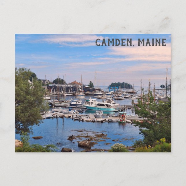 Camden Maine Harbour Water View Boats Postkarte (Vorderseite)