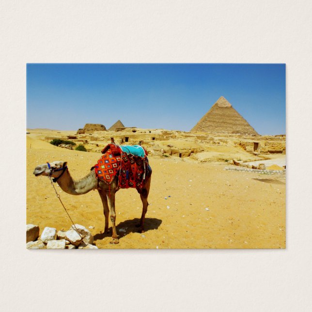 Camel (Vorderseite)