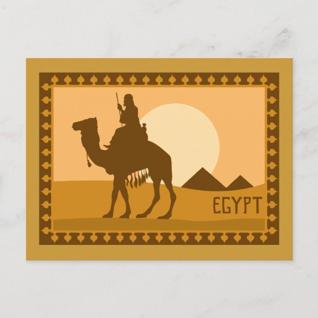 Camel Ägypten Postkarte (Vorderseite)