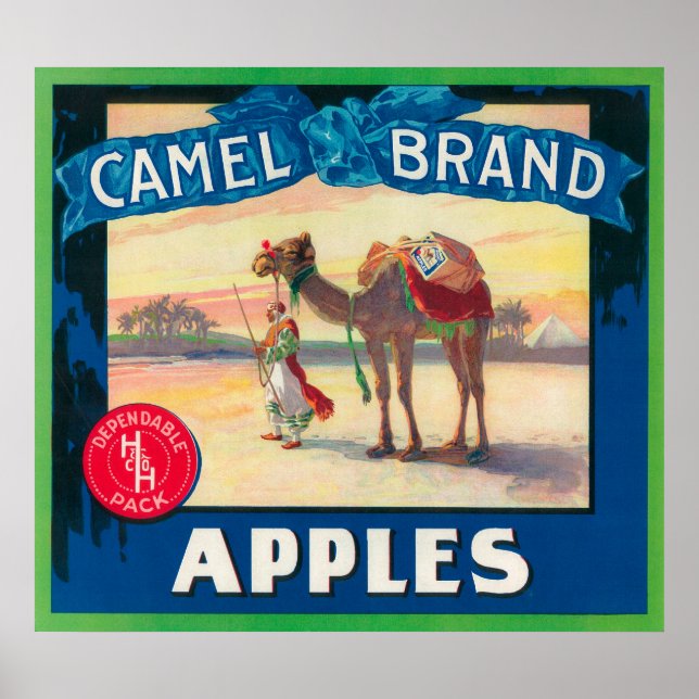Camel Apple Label - Staat in Washington Poster (Vorne)