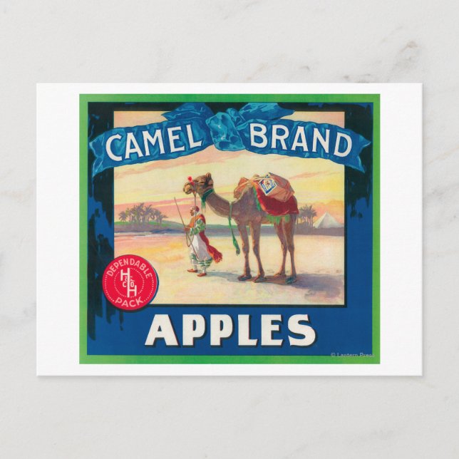 Camel Apple Label - Staat in Washington Postkarte (Vorderseite)