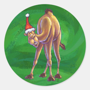 Camel Christmas auf Green Runder Aufkleber