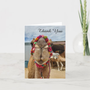 Camel Cutness Vielen Dank Note Card Dankeskarte