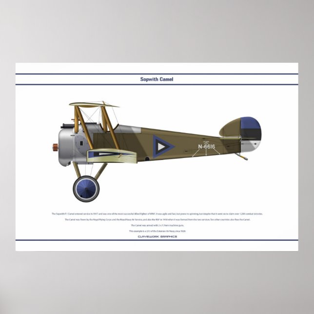 Camel Estland Poster (Vorne)