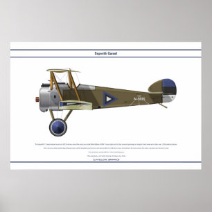 Camel Estonia Poster