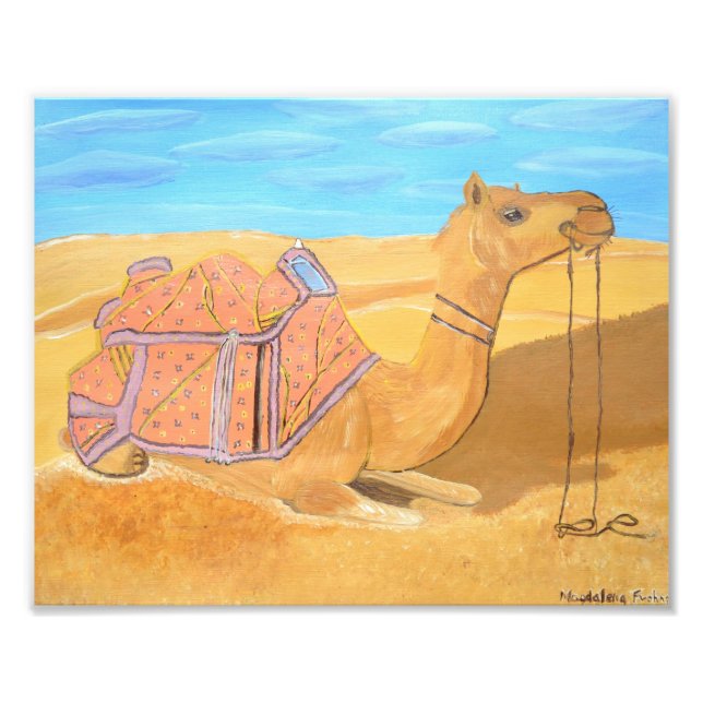 Camel Foto (Vorne)