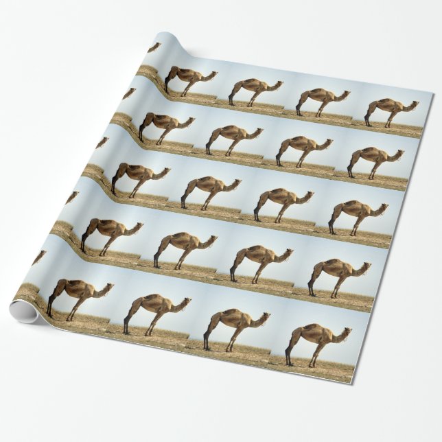 Camel Geschenkpapier (Ungerollt)
